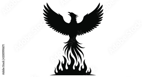 phoenix bird with flames silhouette high quality professional