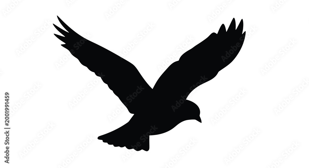 Fototapeta premium flying bird silhouette high quality professional detailed modern