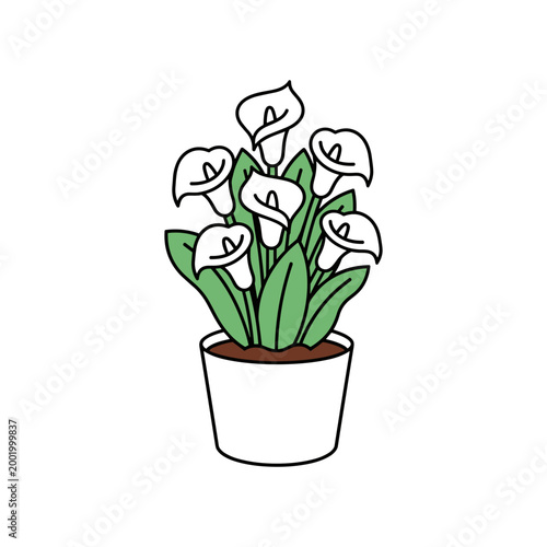 Minimalist callas lily flower pot vector illustration for interior design decor