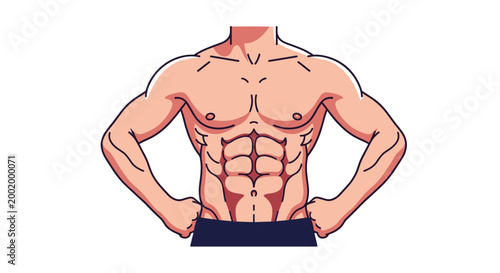 Front view illustration of a muscular male body showing well-defined abdominal muscles and a fit athletic physique for fitness.
