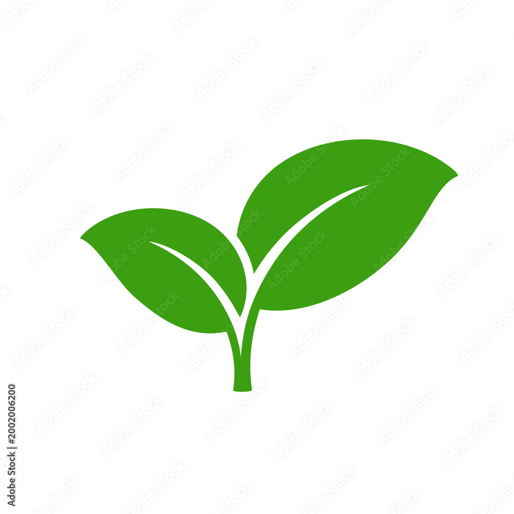 Obraz premium Isolated fresh green leaf element