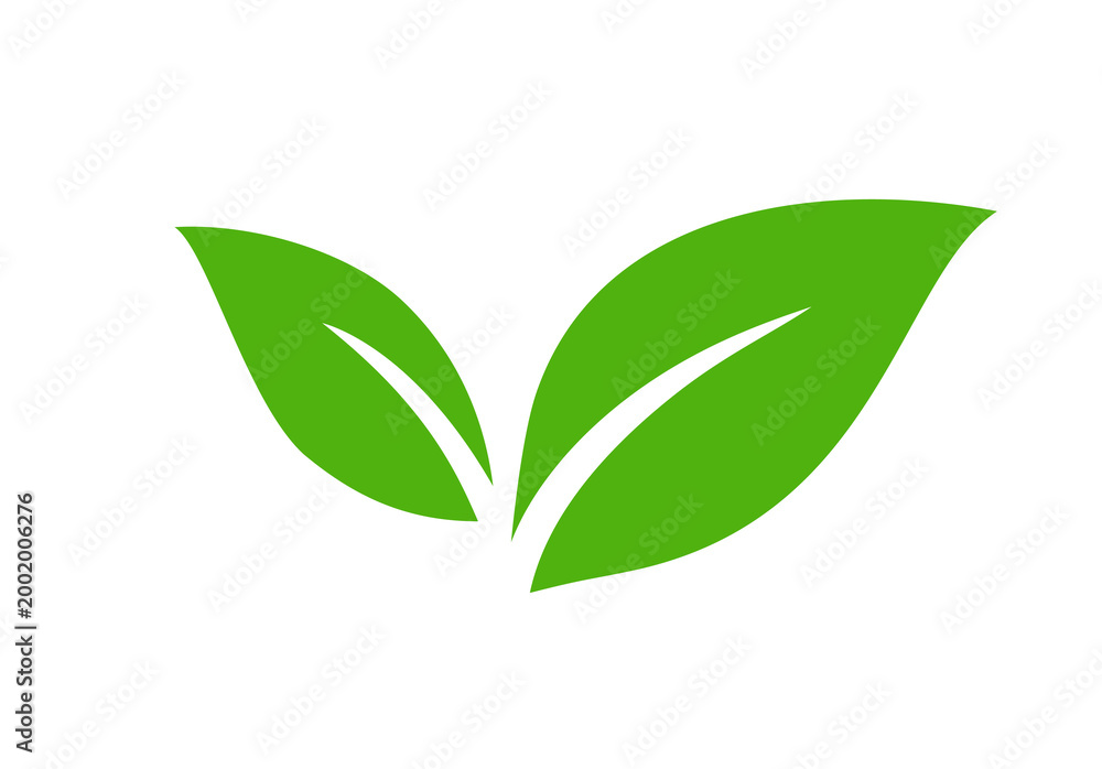 Fototapeta premium Isolated green leaf icon design