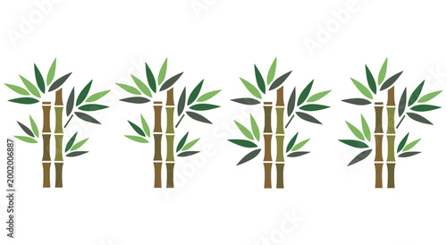 Natural bamboo stalks collection featuring green foliage for asian style decoration. Elegant plant elements ideal for spa wellness zen garden and environment friendly design concepts.