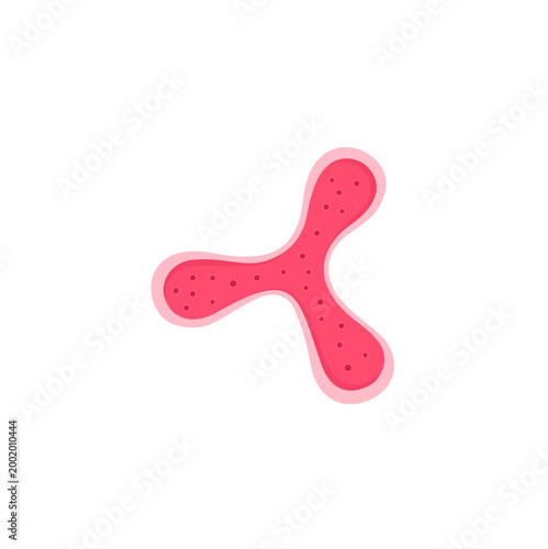 Bifidobacterium Illustration 