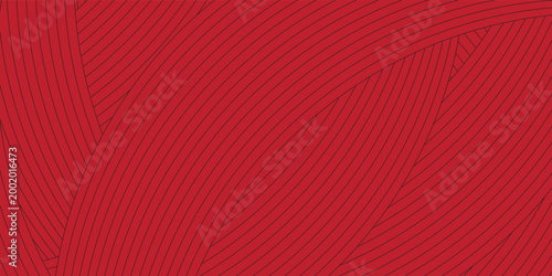 Elegant maroon background with black mathematical curved lines. Professional geometric design for luxury branding, corporate presentations, and web banners.