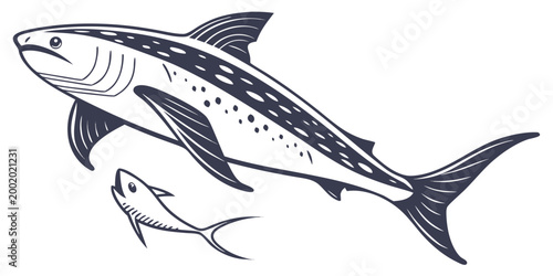 Obraz na płótnie Stylized graphic illustration of a large tuna fish swimming above a smaller fish