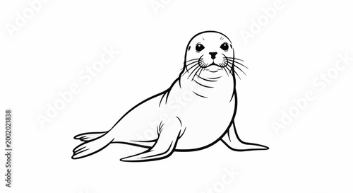 A black and white line drawing of a curious seal resting on its flippers