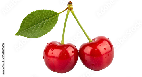 Two ripe red cherries with green leaf isolated on transparent background