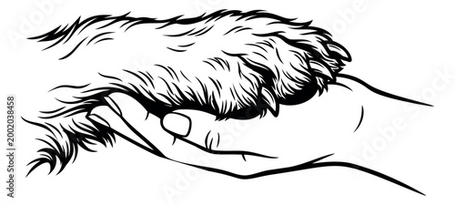 Engraving style illustration of a dog paw resting in a human hand depicting pet care and animal bond for veterinary design