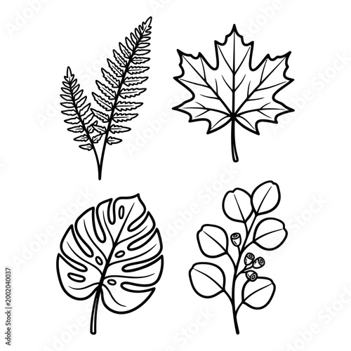 Set of Tropical leaves. Collection black leaves palm, fan palm, banana leaves. Nature leaves collection. Vector illustration