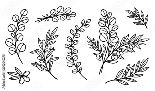 Icon set of various tropical leaves in a modern design style suitable for creative projects and visual needs