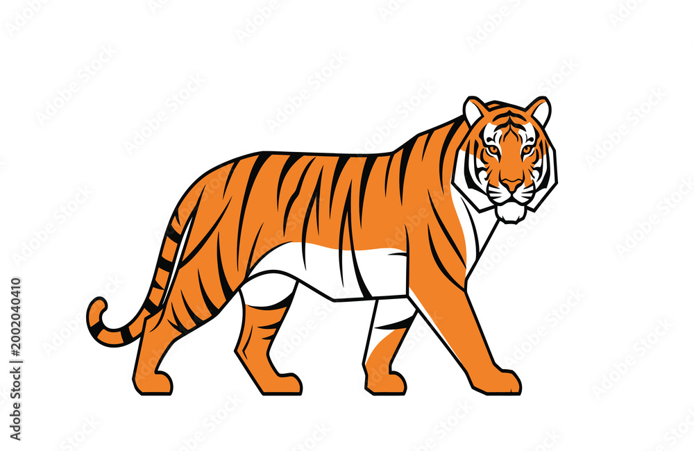 Obraz premium Tiger illustration side view orange and white graphic