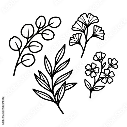 Icon set of various tropical leaves in a modern design style suitable for creative projects and visual needs