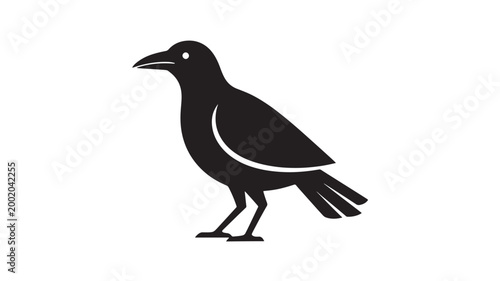 Bird silhouette standing with detailed wings and beak featuring black, white, feather with outline and nature elements for animal, icon projects,