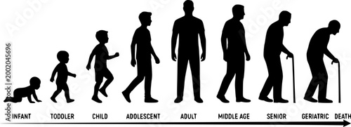 Man life cycle and aging process stages from baby to death human life path vector silhouette set.
