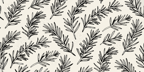Rosemary sprig pattern seamless hand drawn botanical illustration