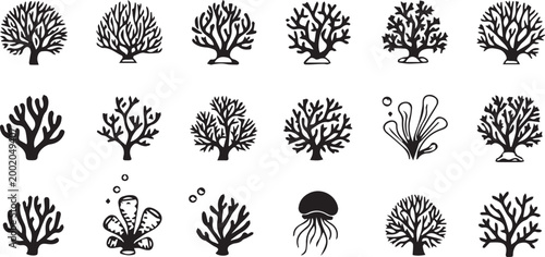 Coral Reef Silhouette Collection

Marine Plant Life Illustrations