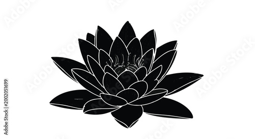 Bilde på lerret Lotus flower displays elegant petals in a stark black and white graphic illustration
