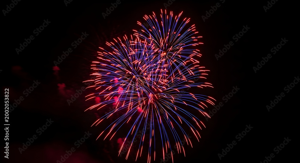 Fototapeta premium Fireworks display against dark night sky