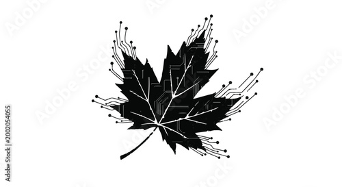 Photos Maple leaf integrated with circuit board patterns symbolizes nature and technology