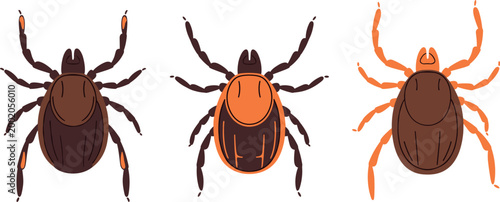 Tick insect illustration set featuring detailed parasite bugs in different styles and colors isolated in flat vector design