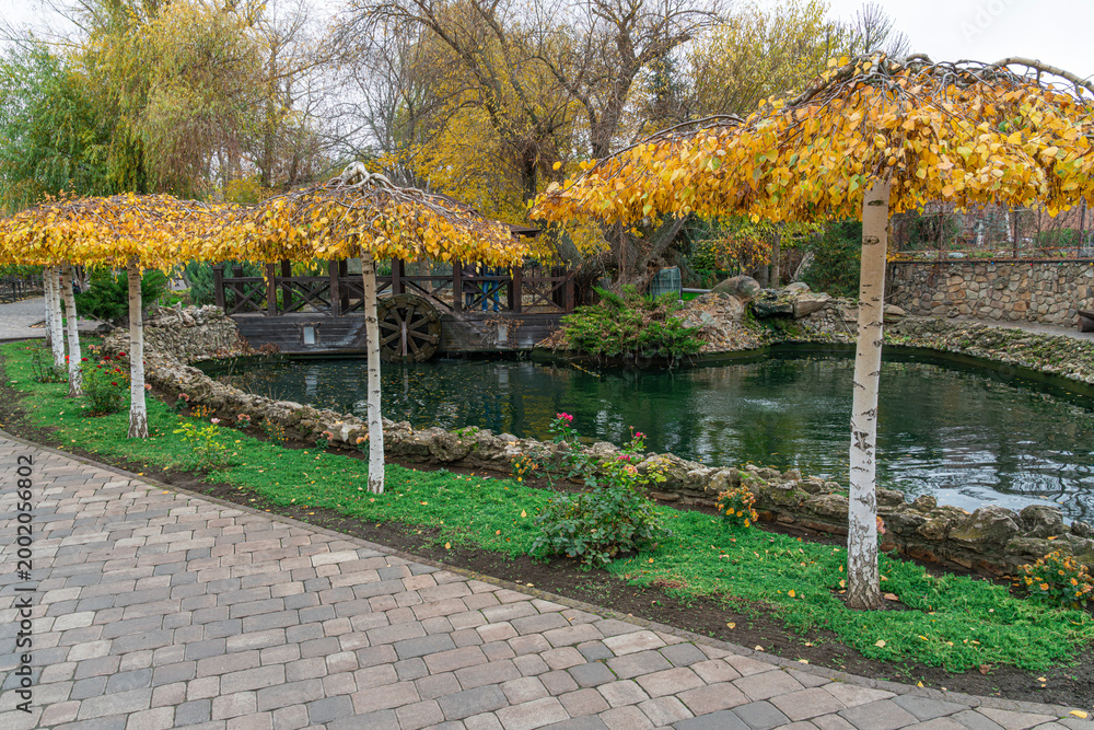 Fototapeta premium Autumn park by water and trees