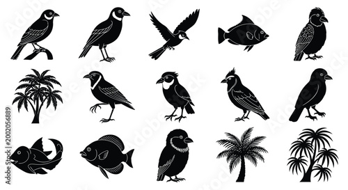 Collection of bird and fish silhouettes black and white silhouette