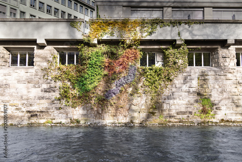 View of a stone wall covered in plants along a riverbank in a city during daylight hours with buildings in the background