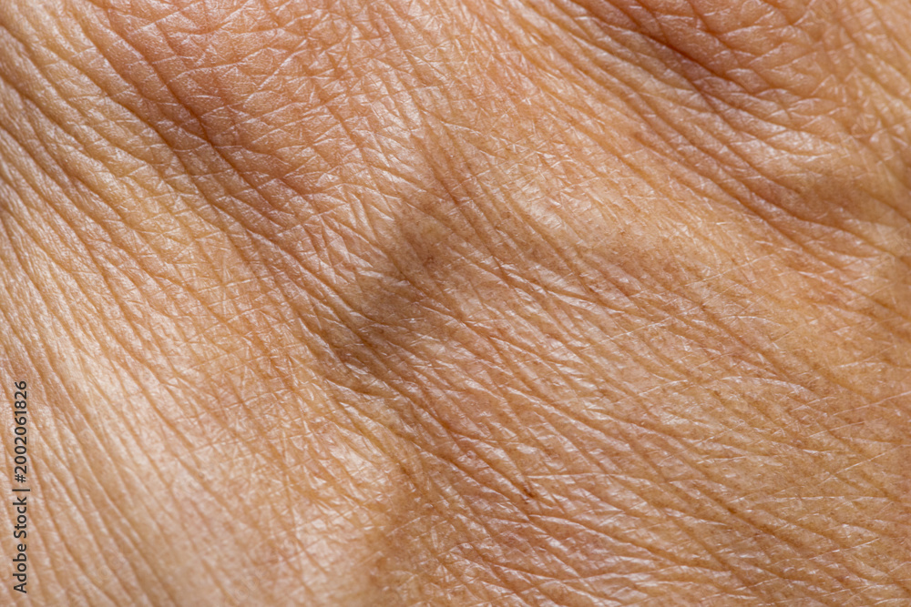 Fototapeta premium Macro Detail of Human Skin Texture and Veins on Back of Hand,Extreme close-up shot showing the intricate details of human skin texture, pores, and visible veins on the back of an adult's hand.