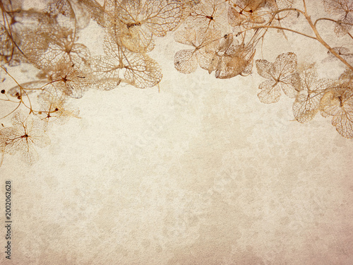 Fotografie Vintage backgrounds lovely light beige stylish textures