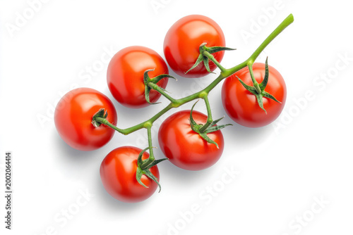  red tomatoes against a transparent  background. 