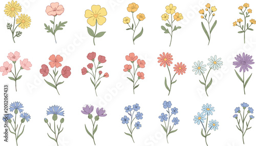 Pastel wildflower collection with delicate botanical elements, hand drawn floral vector set for spring designs, wedding invitations, greeting cards, and natural decorative illustrations
