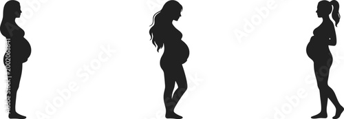 Black Silhouettes of Pregnant Women Set Isolated on White Background Representing Pregnancy Motherhood and Female Healthcare Concept