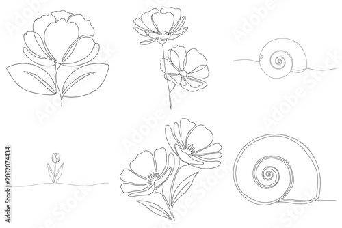 Single line drawing set of blooming peonies and sea snail shells for coastal themed interior decor and minimalist summer branding.