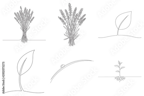 Continuous line drawing of lavender and botanical elements including leaves and seedlings on white background vector illustration.