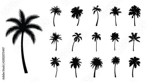 A set of black silhouette palm trees in various poses