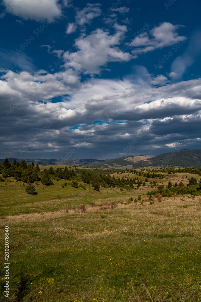 Fototapeta premium Vertical image, scenic view from the Carpathian mountains, blue sky with white clouds.