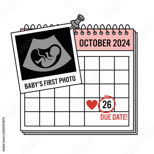 Pregnancy due date calendar with baby ultrasound photo, October prenatal planning and maternity concept flat vector illustration
