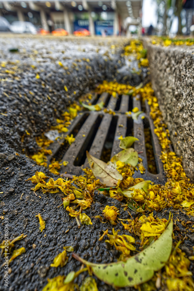 Obraz premium Metal and concrete manhole grate for urban drainage