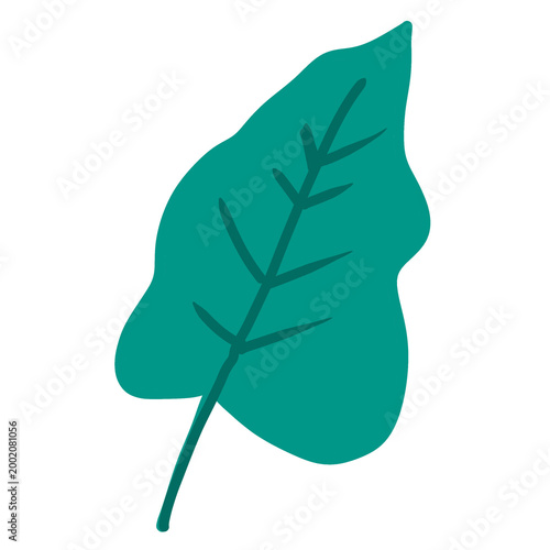 Leaf 