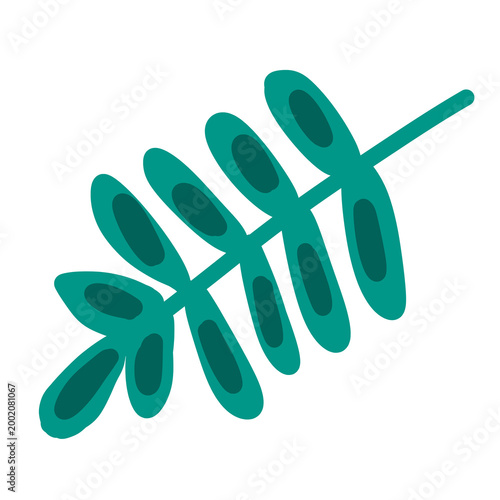 Leaf 