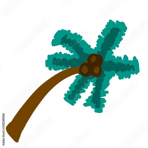 Palm tree