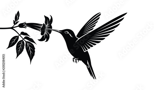 Black silhouette of a hummingbird flying towards a flower on a branch