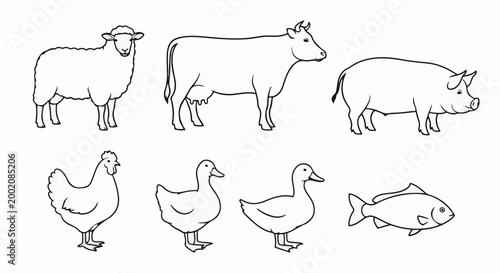 Line art of farm animals sheep, cow, pig, chicken, two ducks, fish