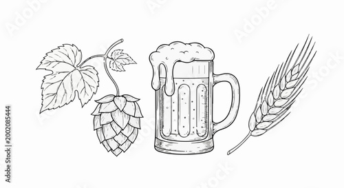 Hand-drawn sketch of beer mug, hop cone and barley stalk on white