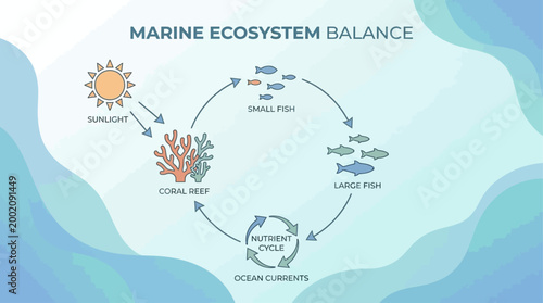 Actionable ESG & Ocean Data Story Infographic System Illustrating Marine Ecosystem Balance and Nutrient Cycles