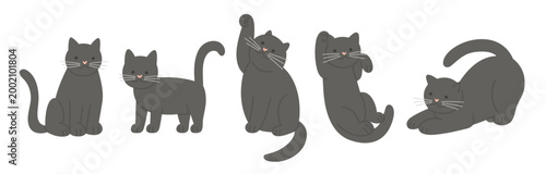 Cute black cats. Vector set of cartoon illustrations in flat style. Different kittens in various poses on white background