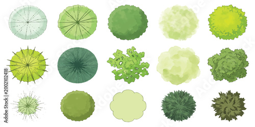 Set of fifteen different trees top view icons for landscape architecture design and garden planning projects