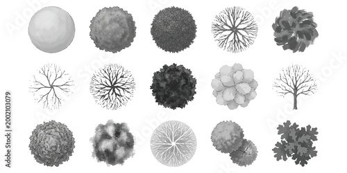 Set of fifteen flat top view tree icons for landscape design architectural plans and garden map elements