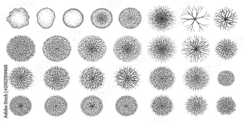 Set of top view tree sketches for landscape design and architectural site plans in hand drawn vector style